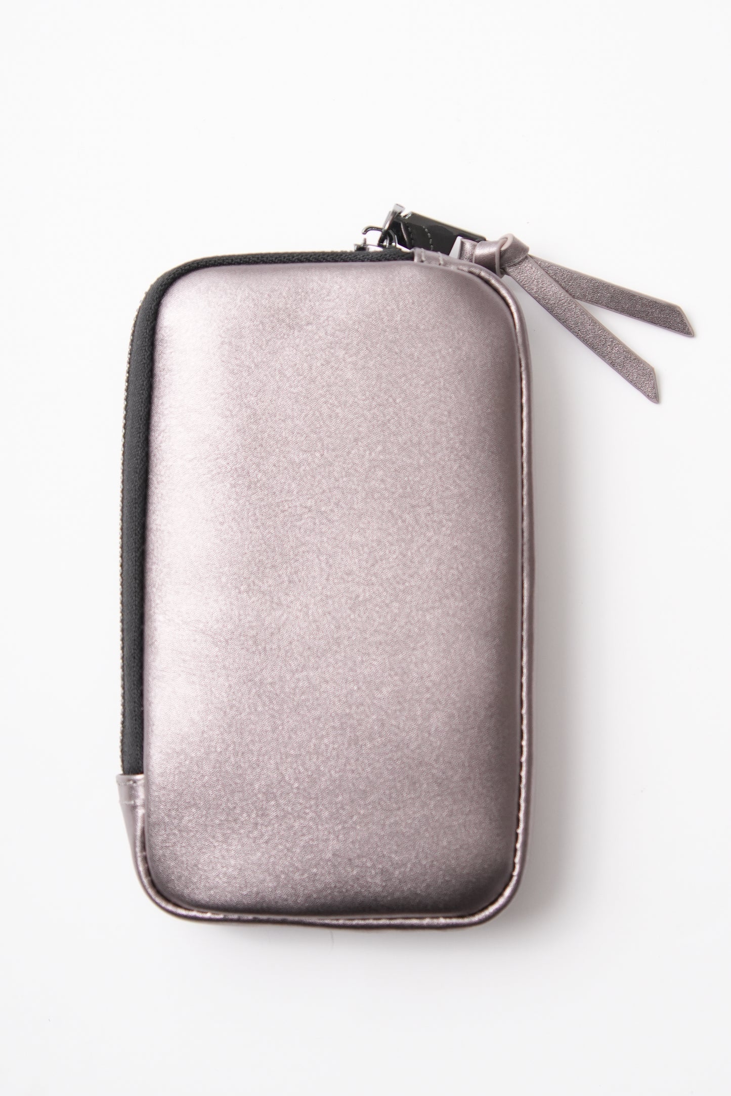 Metalic Pouch