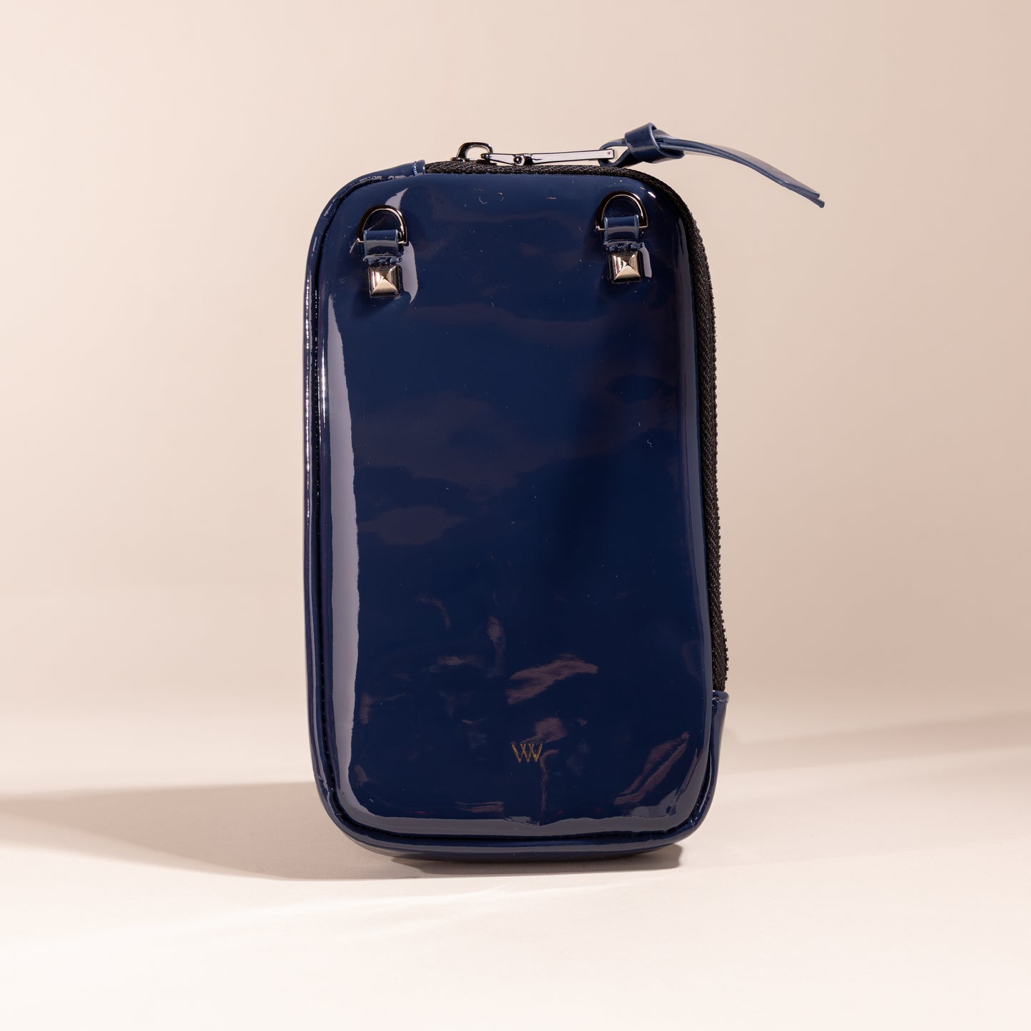 Plastic Blue Leather Pouch